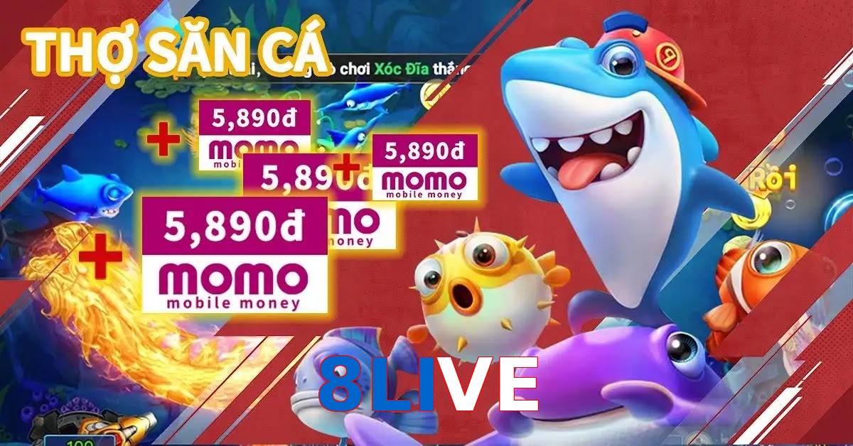 8LIVE